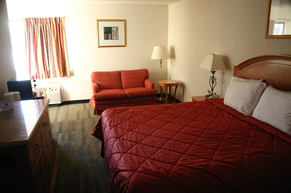 American Inn and Suites Ionia 31/47