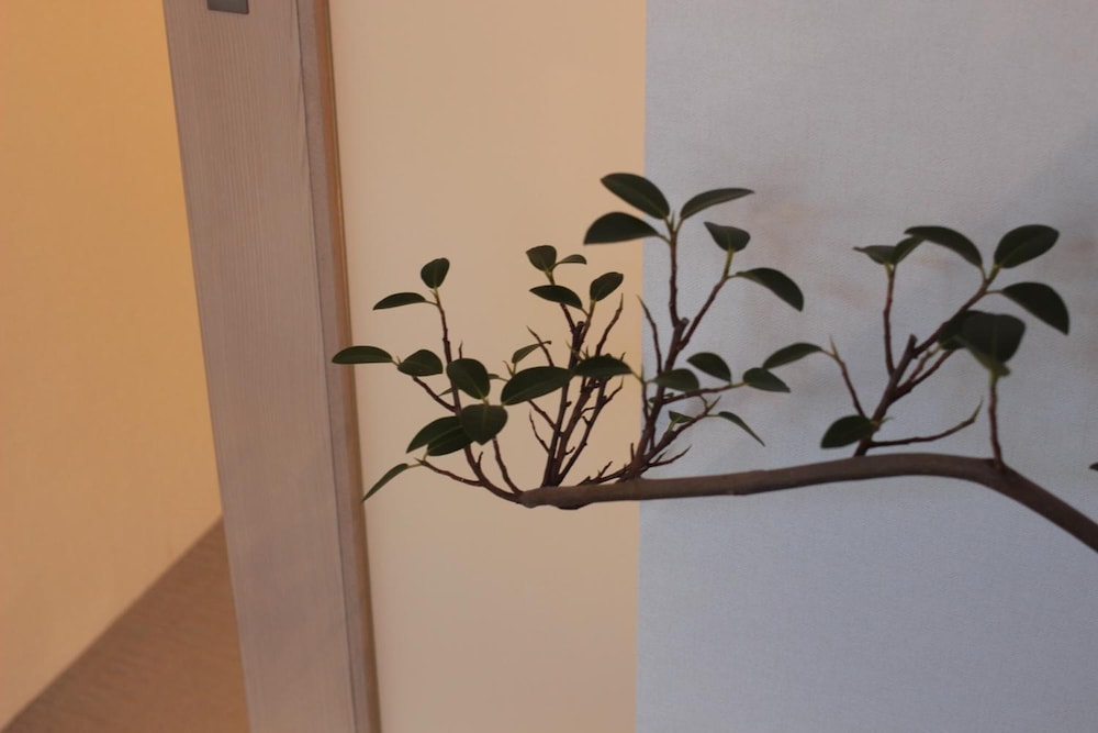 Guest House Coco Hiroshima - Hostel Caters To Women 27/44
