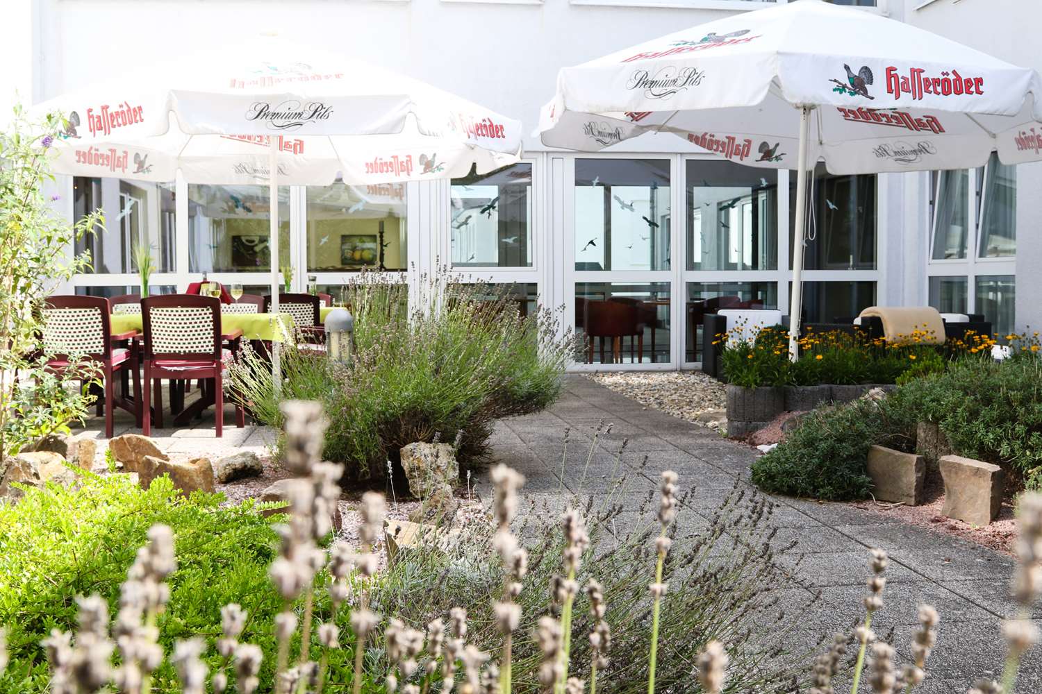 Amedia Hotel Frankfurt-Ruesselsheim 1/22
