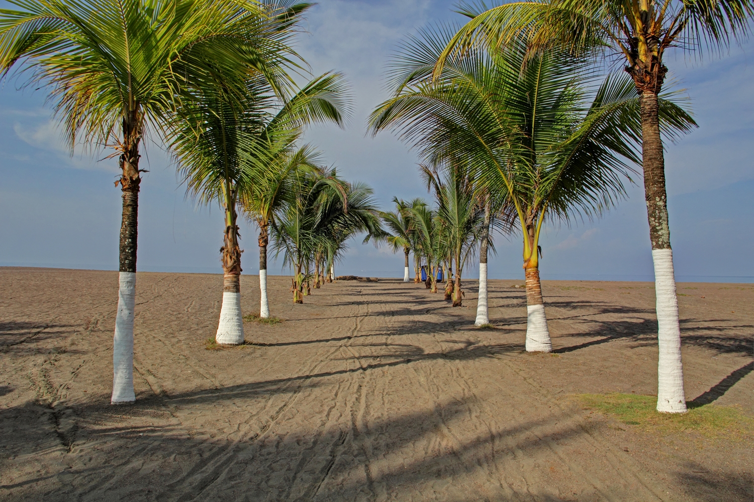 Best Western Jaco Beach All-Inclusive Resort 44/53