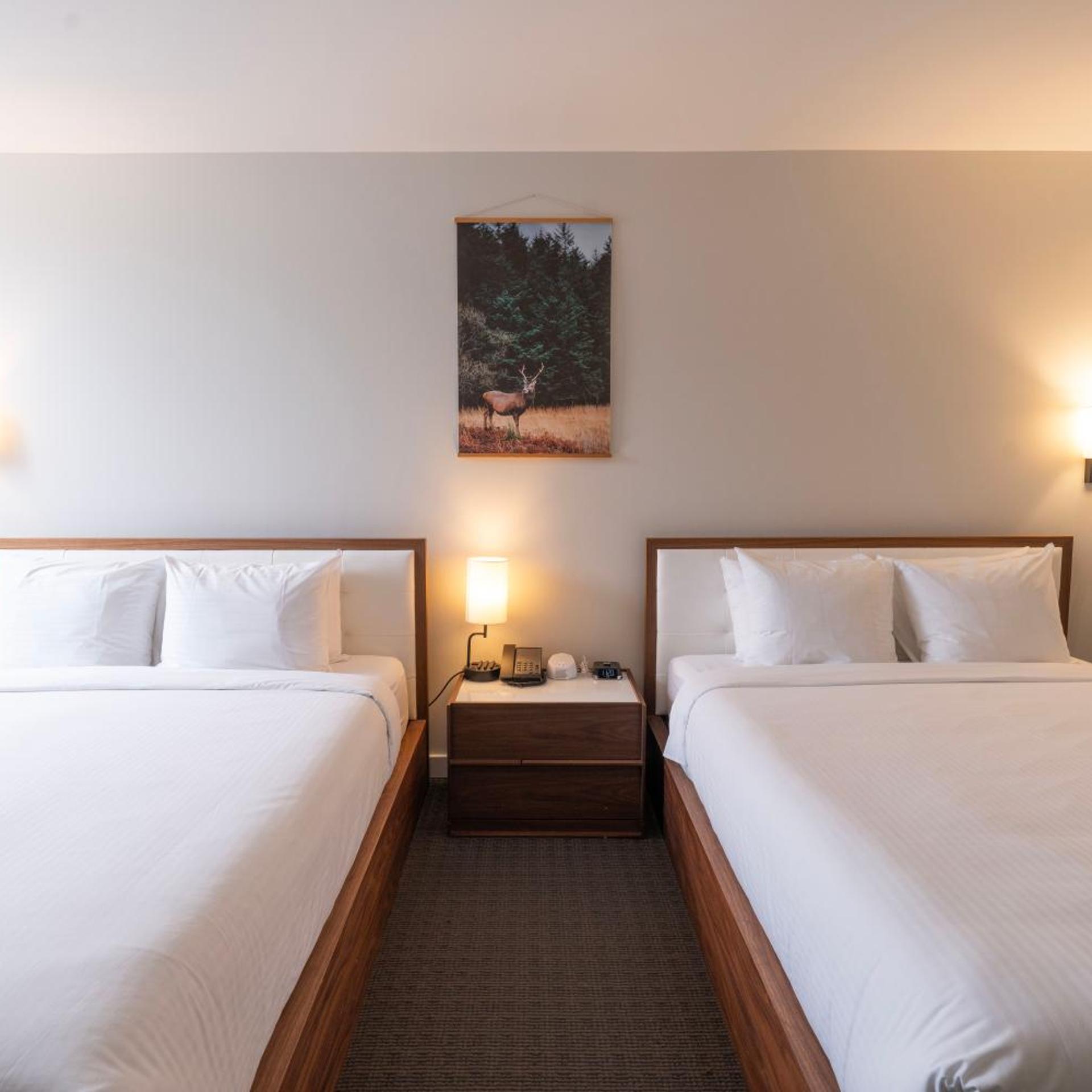 Family, King Bed, Mountain View