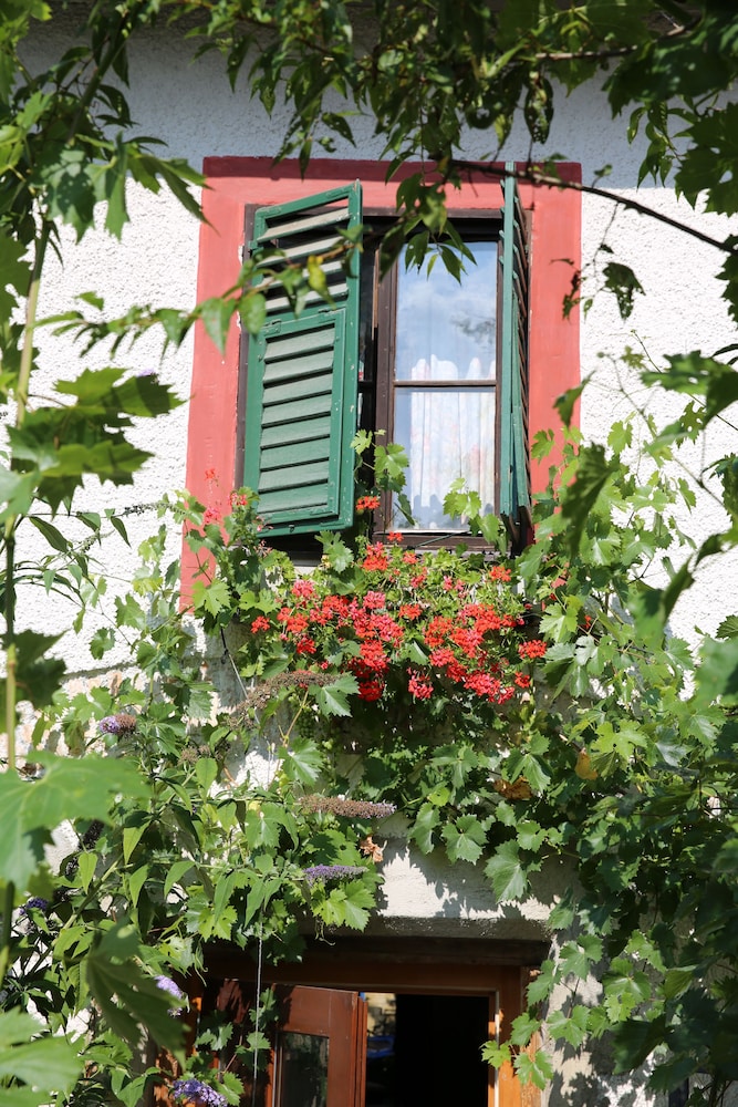 Haus Wartenberg 8/50