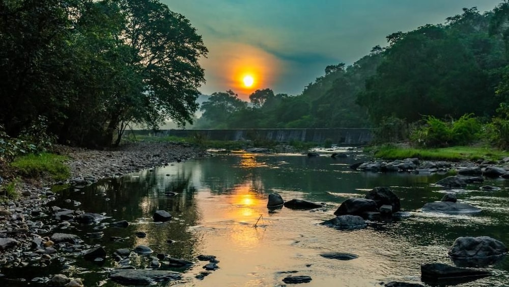 The Fern Sattva Resort Polo Forest 38/48