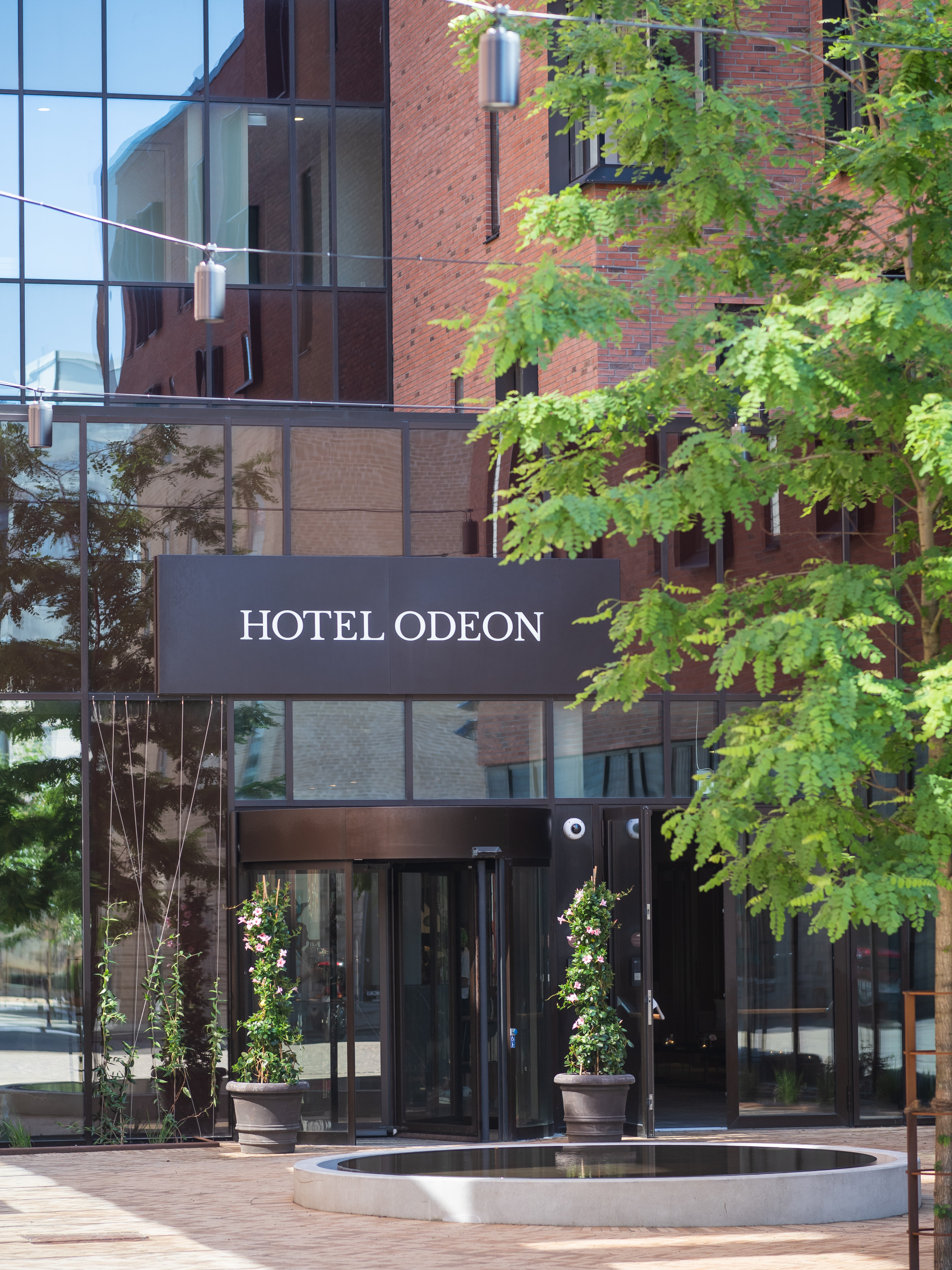 Hotel Odeon 1/44