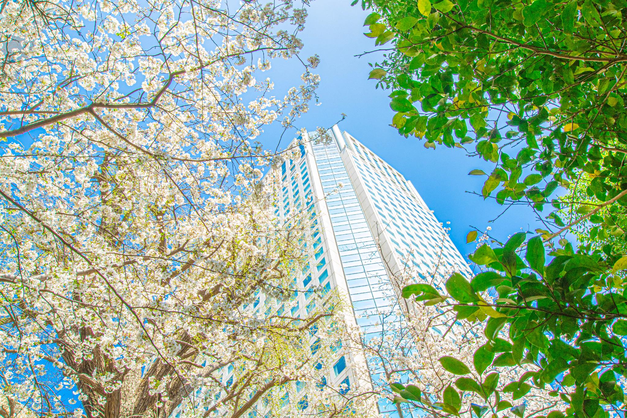 Shinagawa Prince Hotel in TOKYO