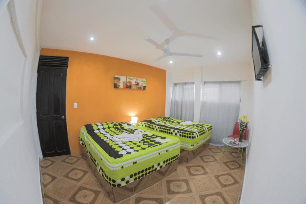 Hotel San Carlos 8/37