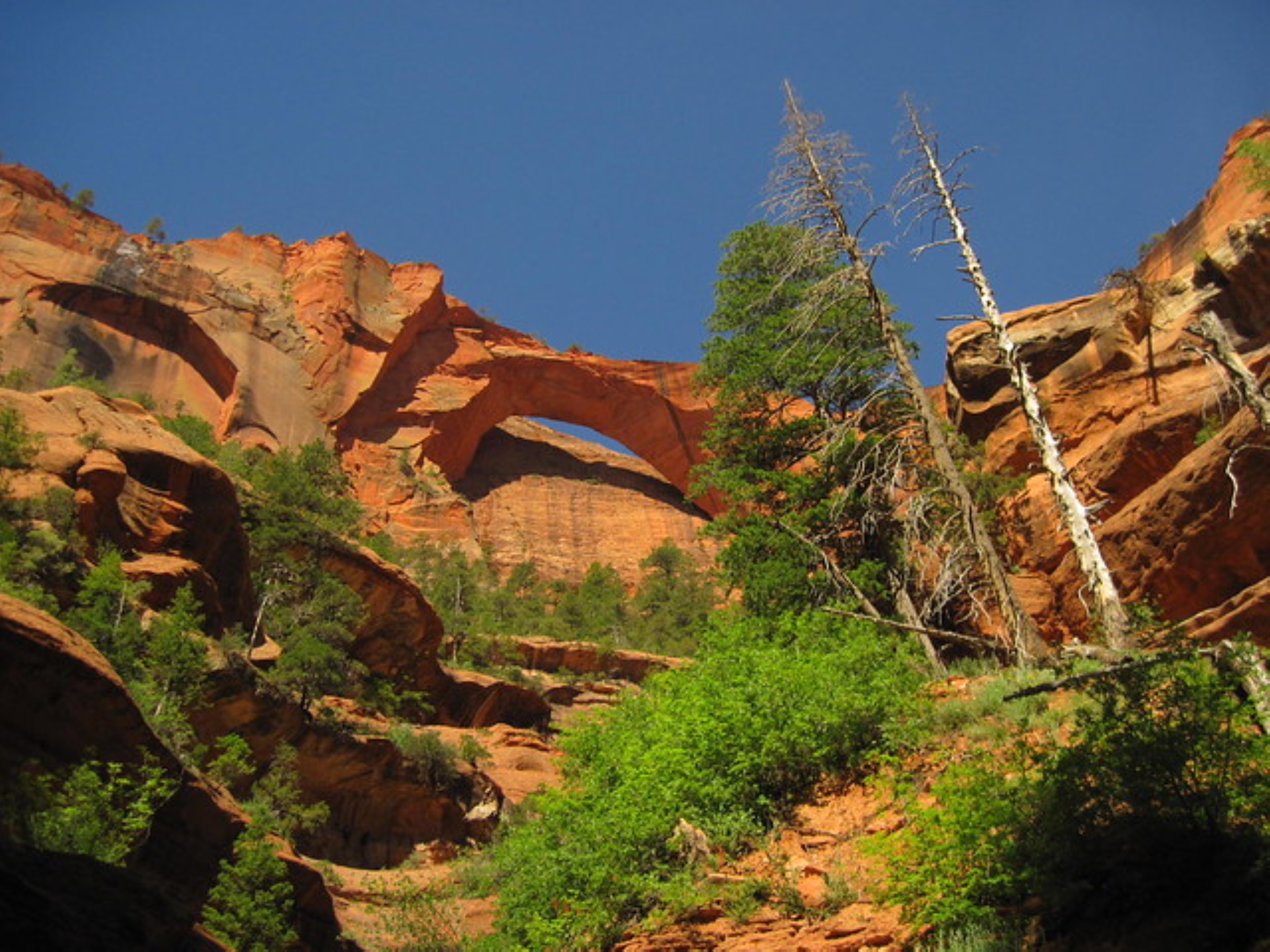 Holiday Inn La Verkin - Zion Park, an IHG Hotel 47/50