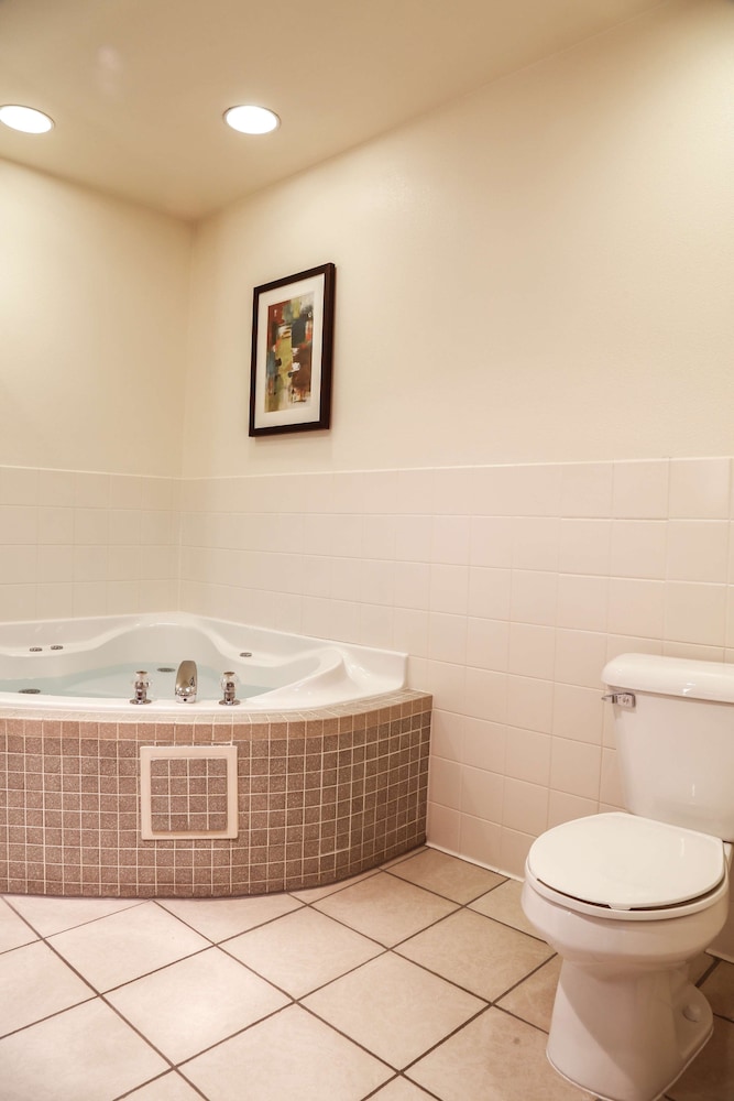Best Western Rocky Mountain Lodge 14/43