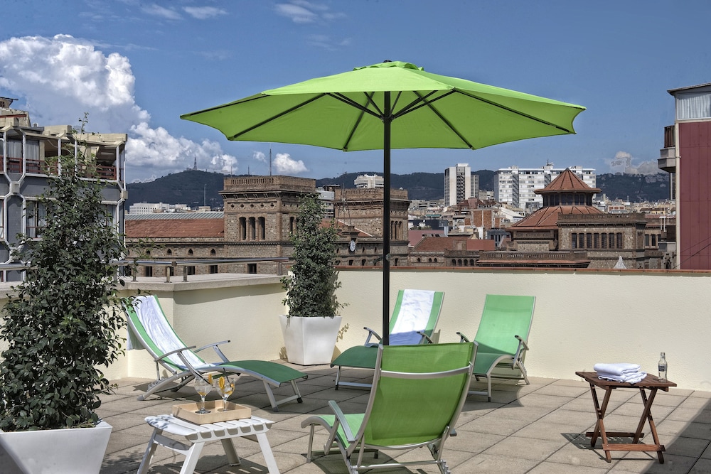 Acacia Suite 33/41