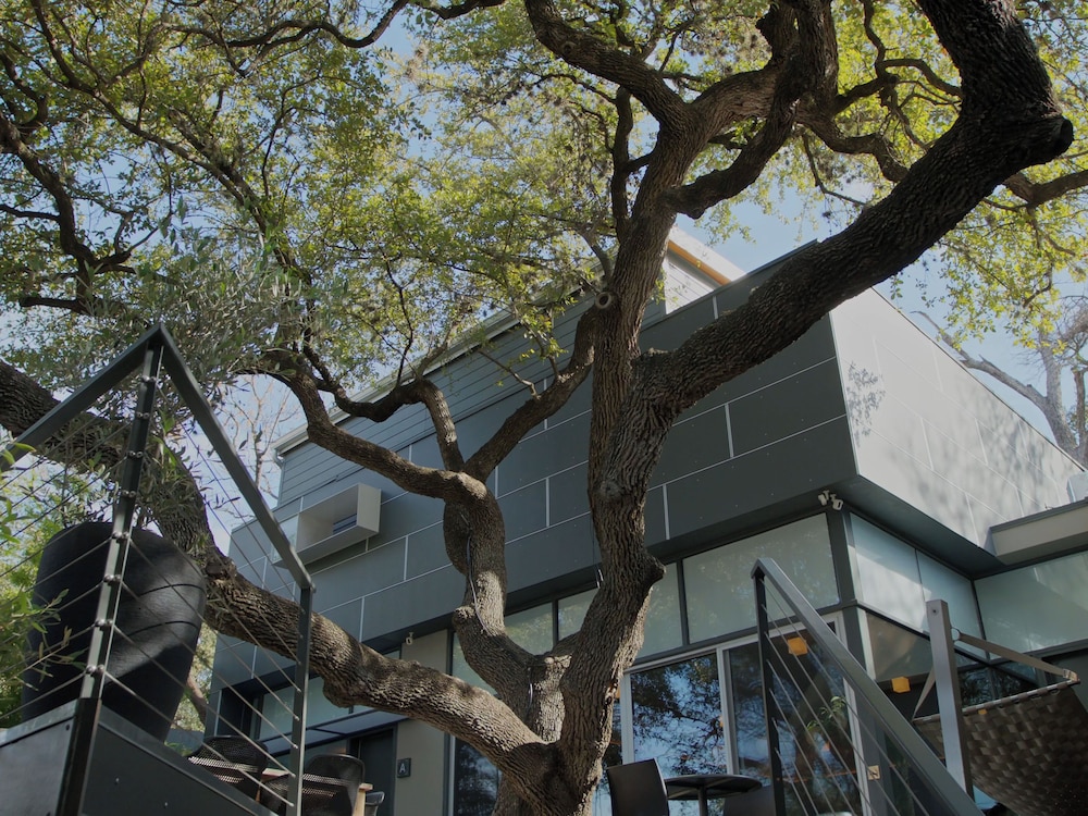 Frame Hotel - Treehouse (formerly Kimber Modern) 41/46