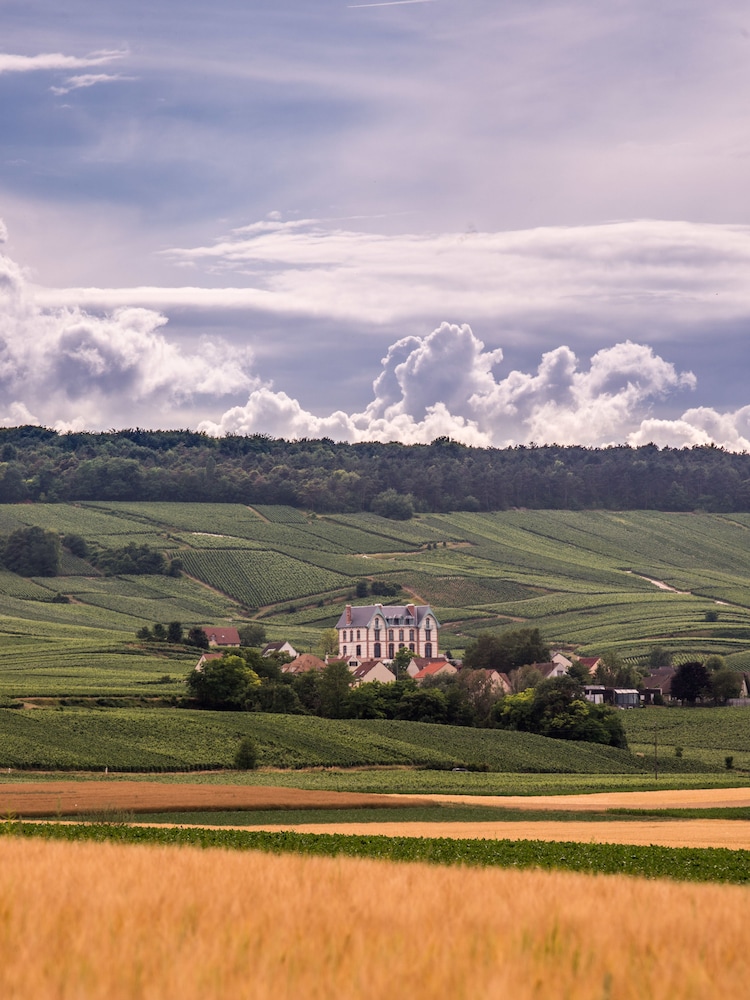 Chateau de Sacy 37/50