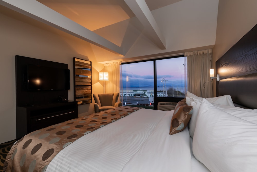 Hotel Levesque 8/50