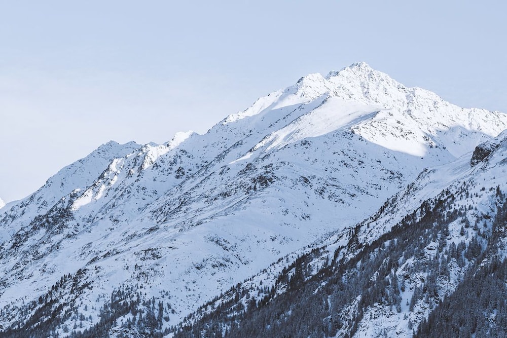 Pension Neururer 42/50