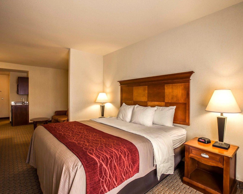 Comfort Inn & Suites Rogersville 14/37