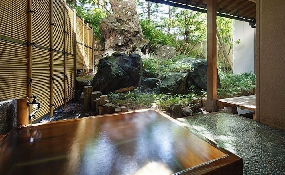 Iwamuro Onsen Ryokan Fujiya 10/30