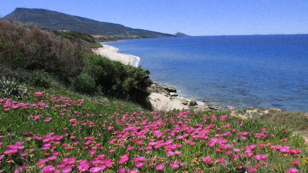 Le Terrazze Sul Mare 47/50