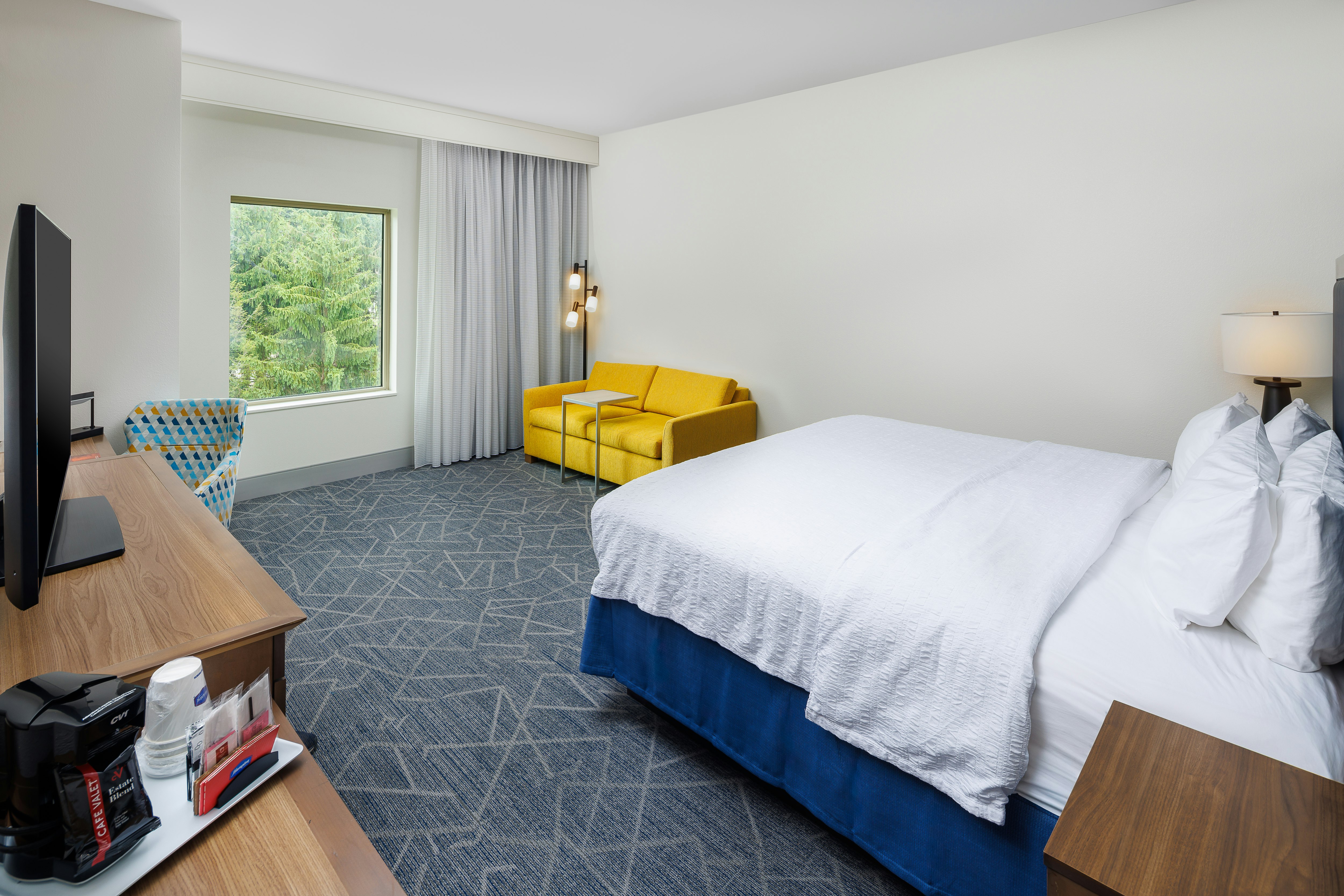 ROOM, KING BED, SOFA