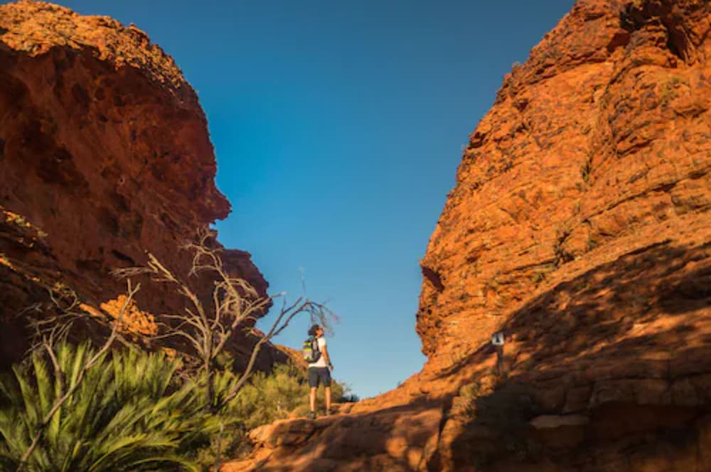 Discovery Resorts - Kings Canyon 32/48