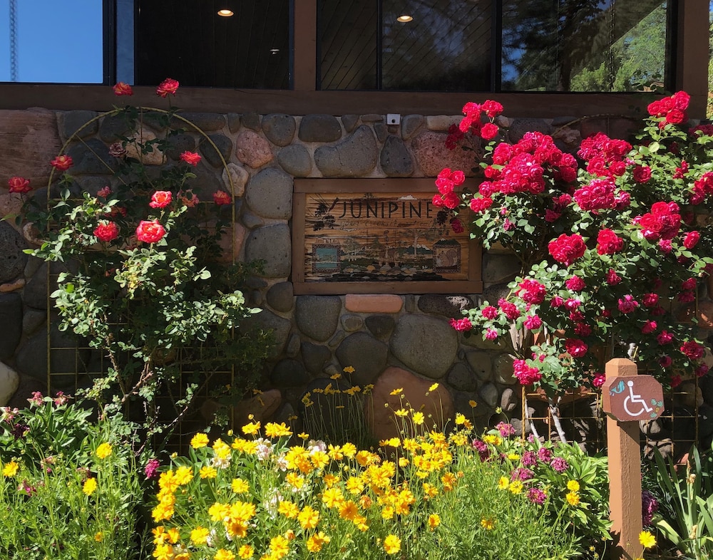 Junipine Resort photo5