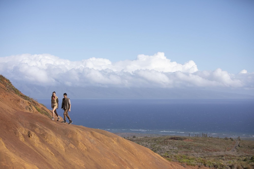 Sensei Lanai, A Four Seasons Resort 41/50