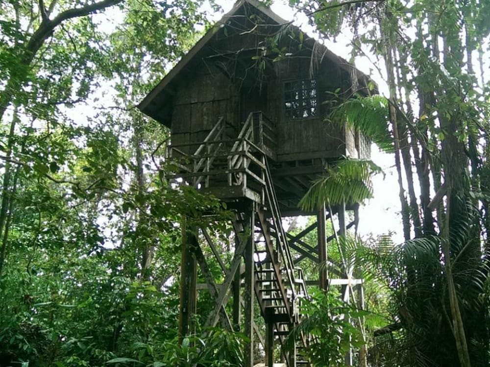 Permai Rainforest Resort Kuching 10/55