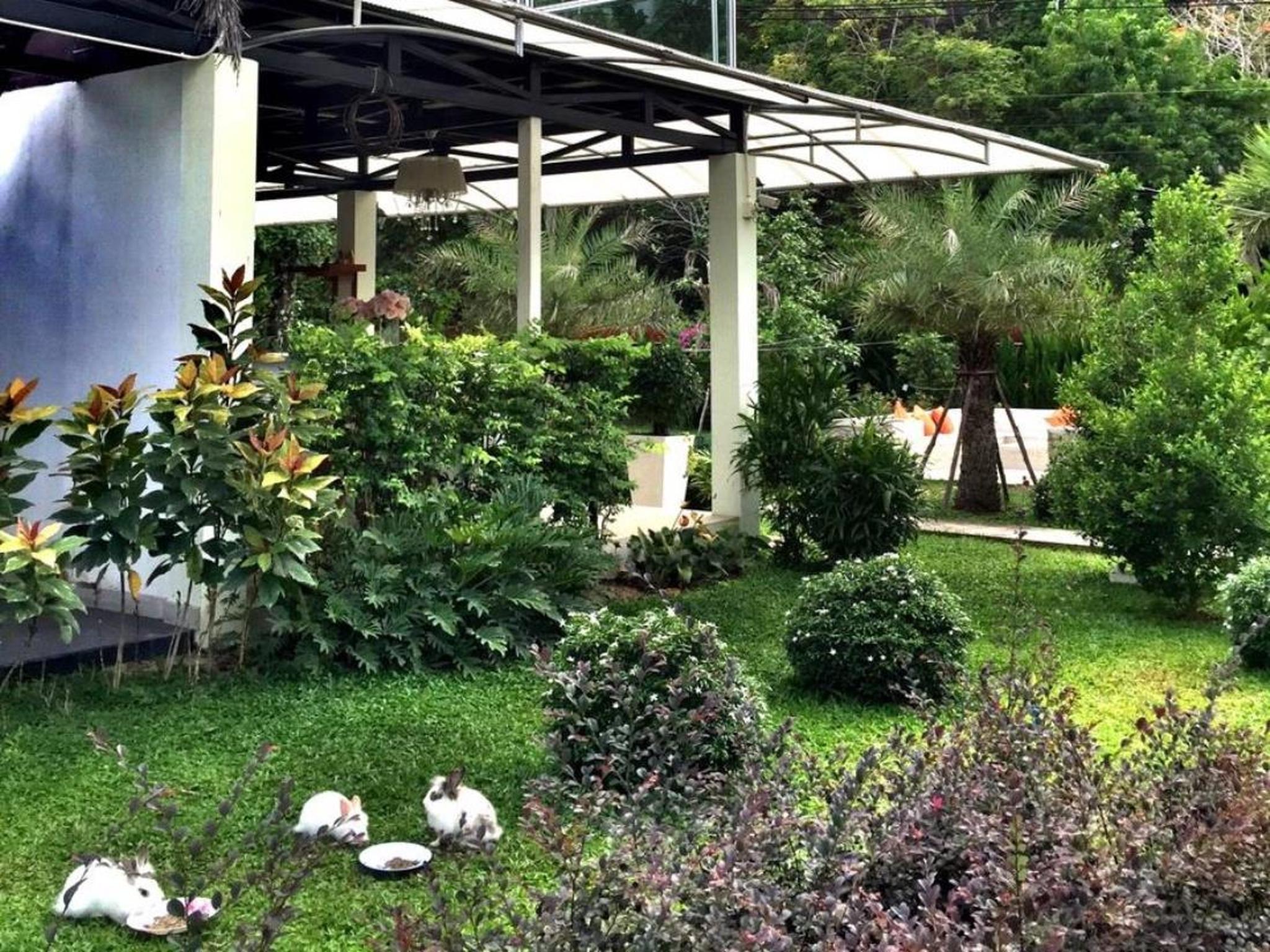 V Valley Resort 39/55