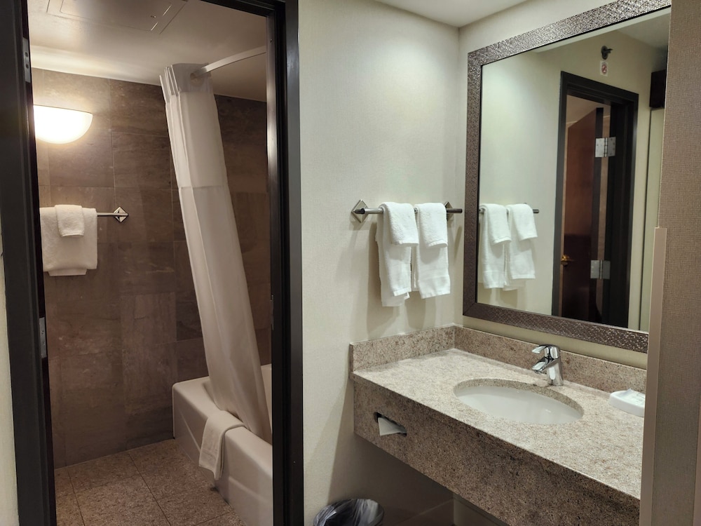 Heritage Inn & Suites St. Louis/Fenton, Trademark by Wyndham 52/60