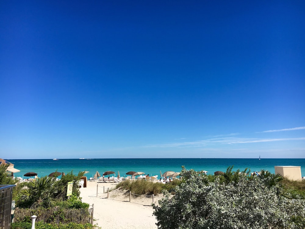 Carillon Miami Wellness Resort 35/44