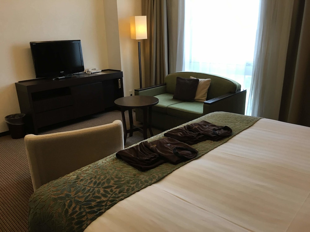 Spa Hotel Maihama Eurasia 14/50