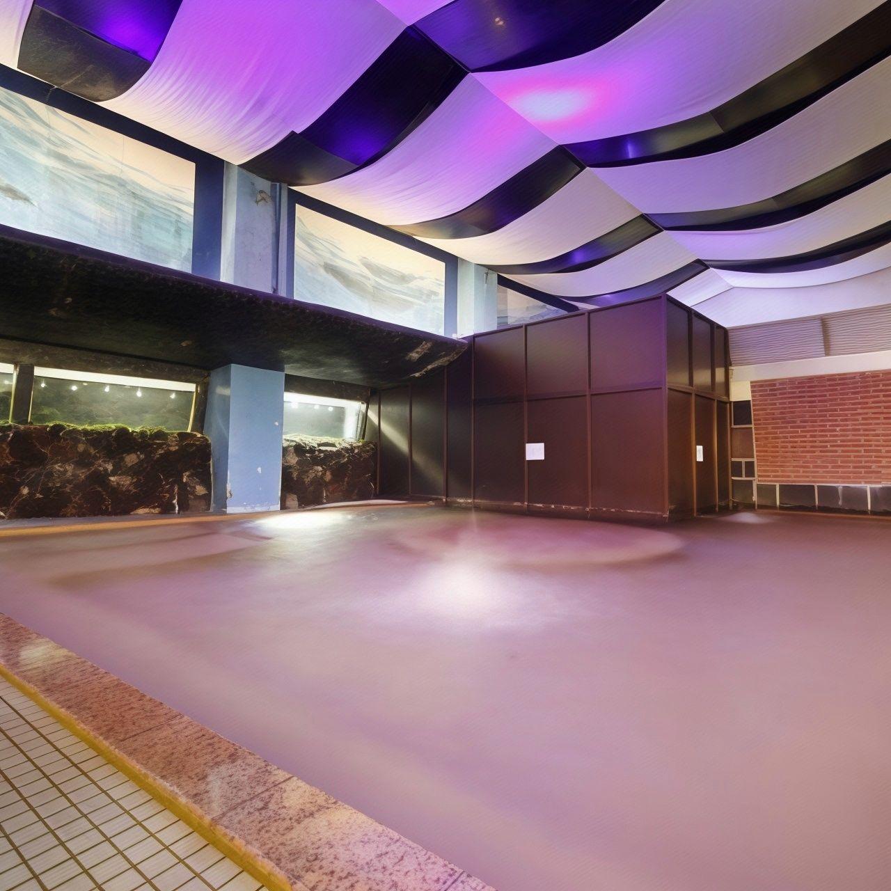 ATAMI TAMANOYU HOTEL 21/44