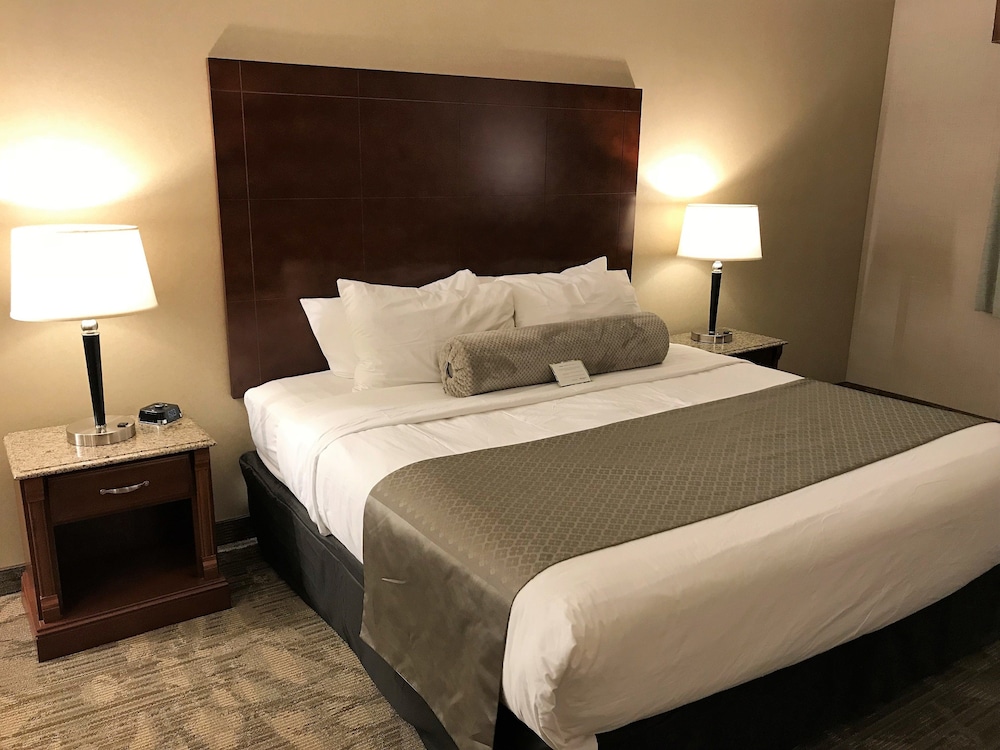 Medallion Inn and Suites 19/46