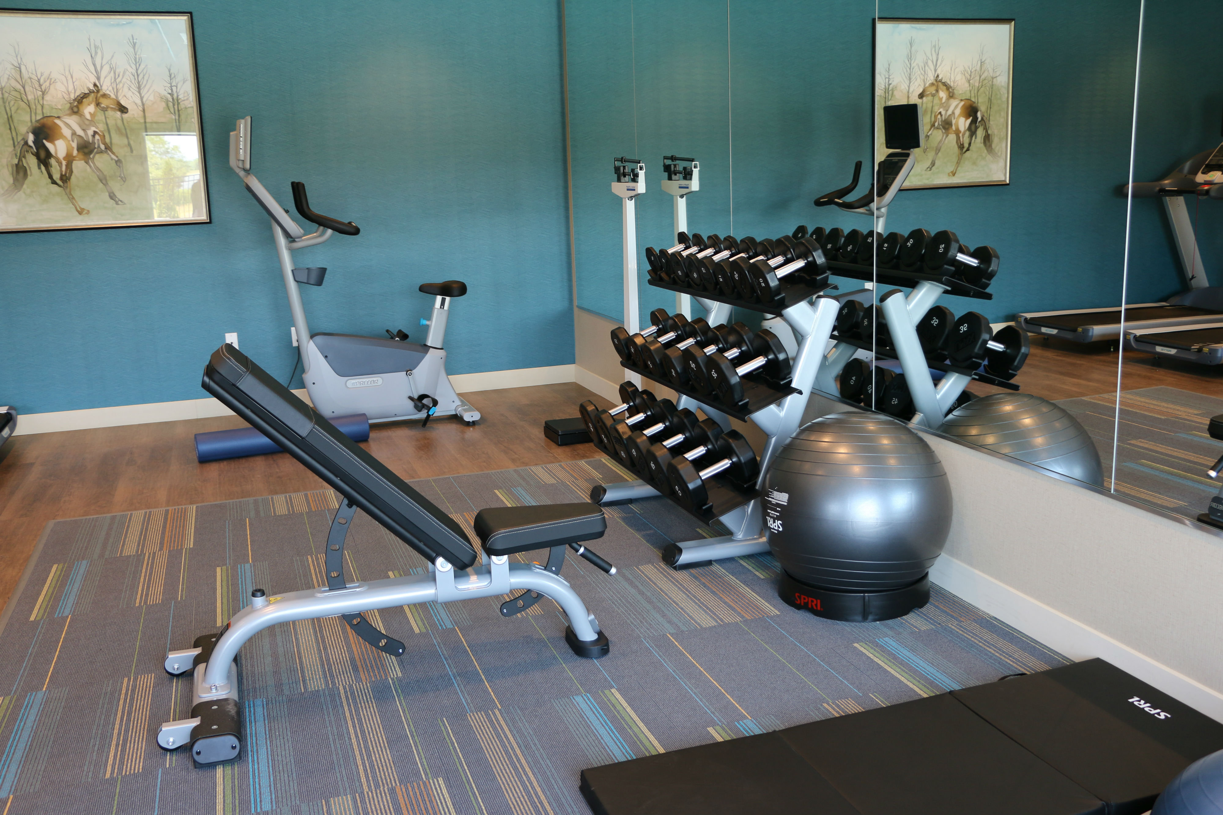 HOLIDAY INN EXPRESS & SUITES HENDERSONVILLE SE - FLAT ROCK 26/52