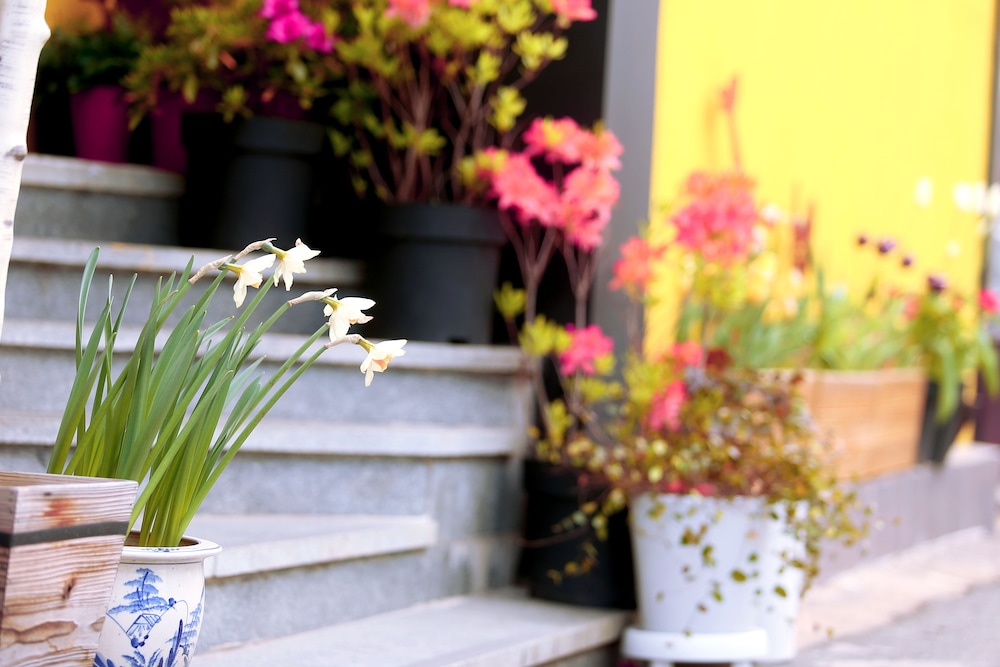 24 Guesthouse Jeonju 5/40