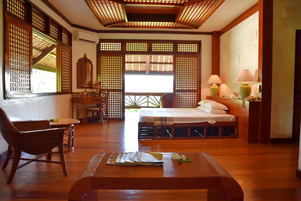 Badian Island Wellness Resort 14/50