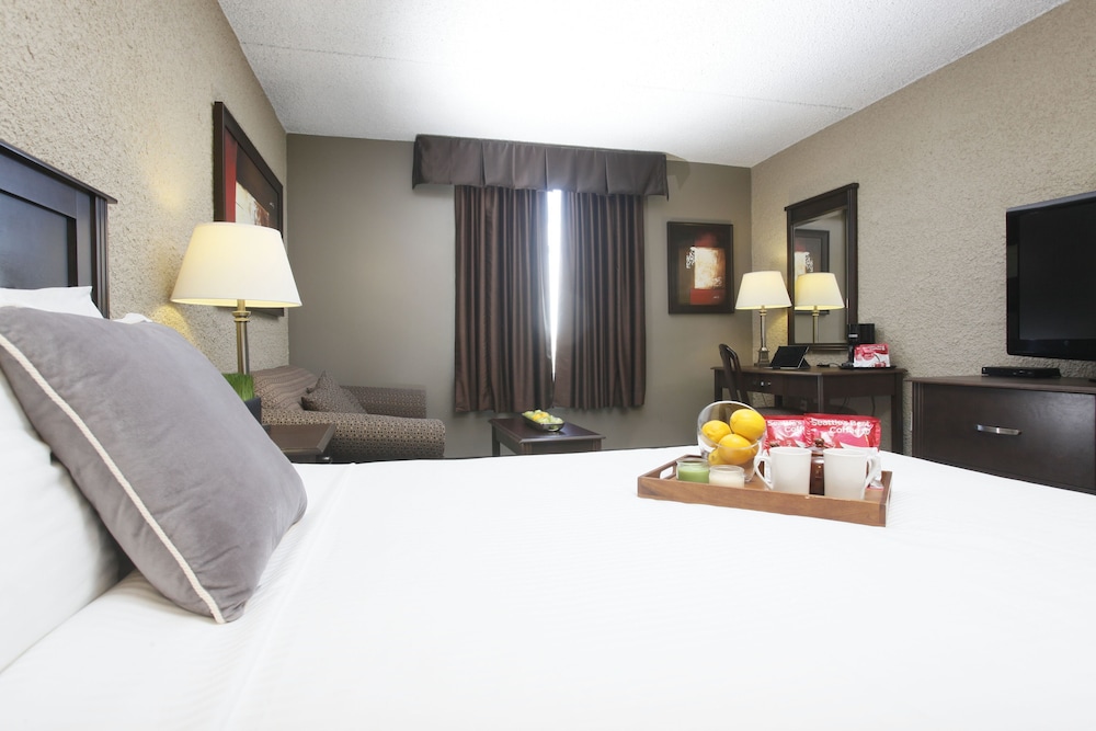 Room, King Bed, Sofa