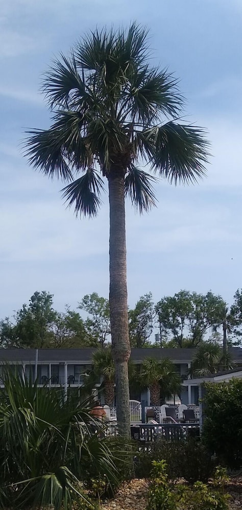 Gulf Coast Inn 30/50