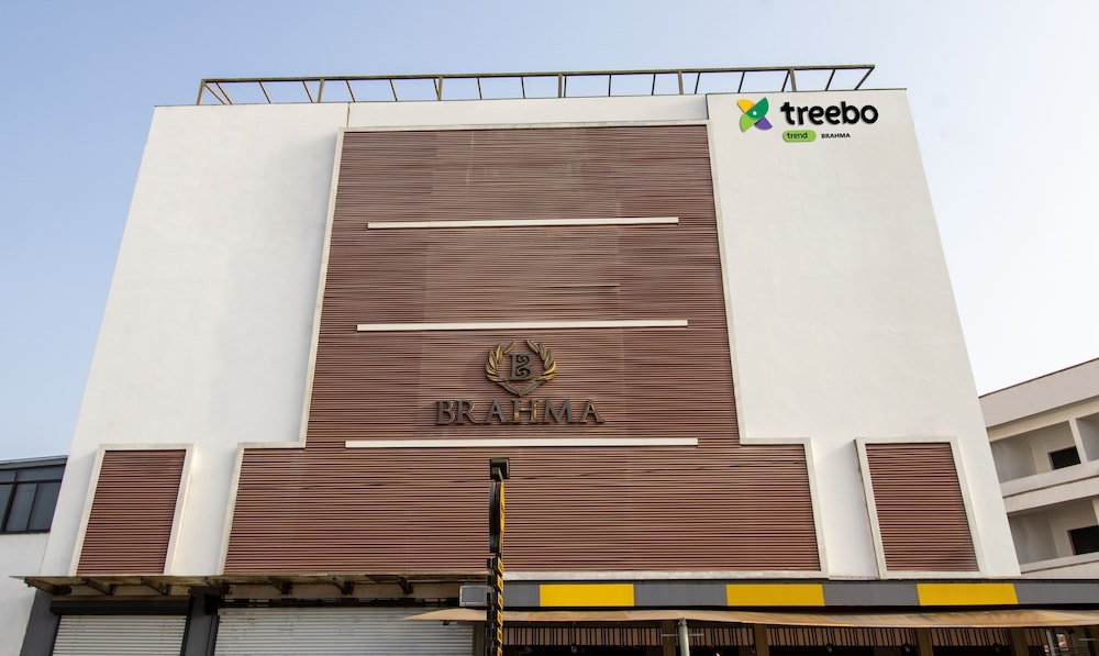 Treebo Brahma 1/23