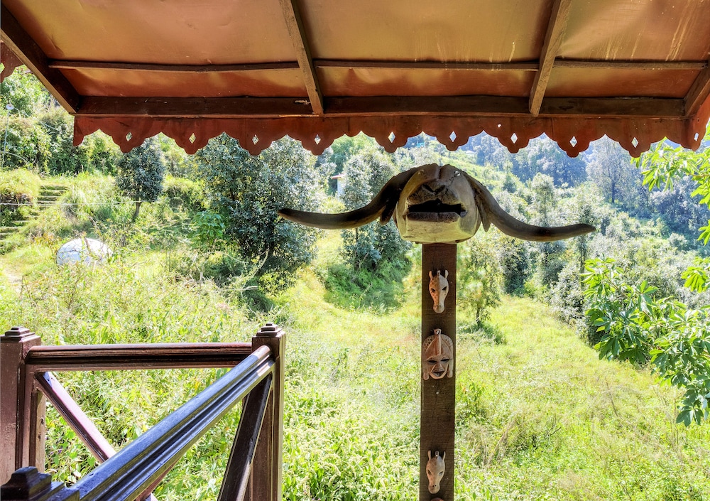 Jungle Lore Birding Lodge 9/29