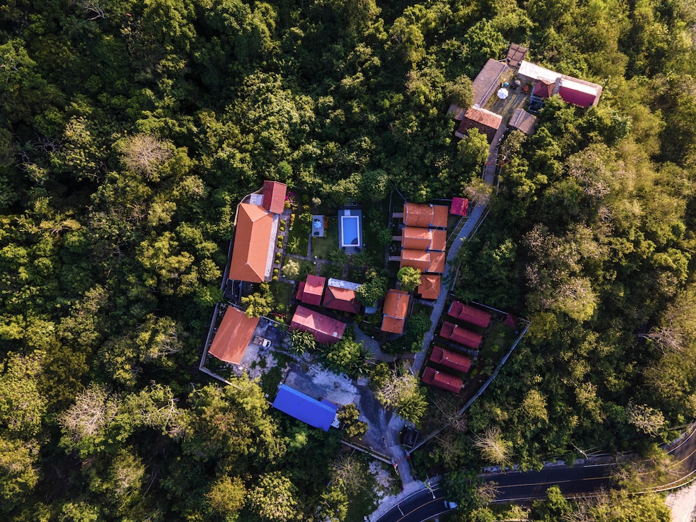 The Pande Hill Homestay 27/50