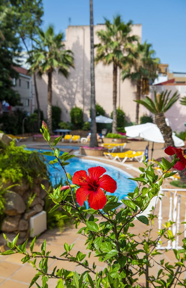 Guitart Rosa Hotel - Adults Only 51/54