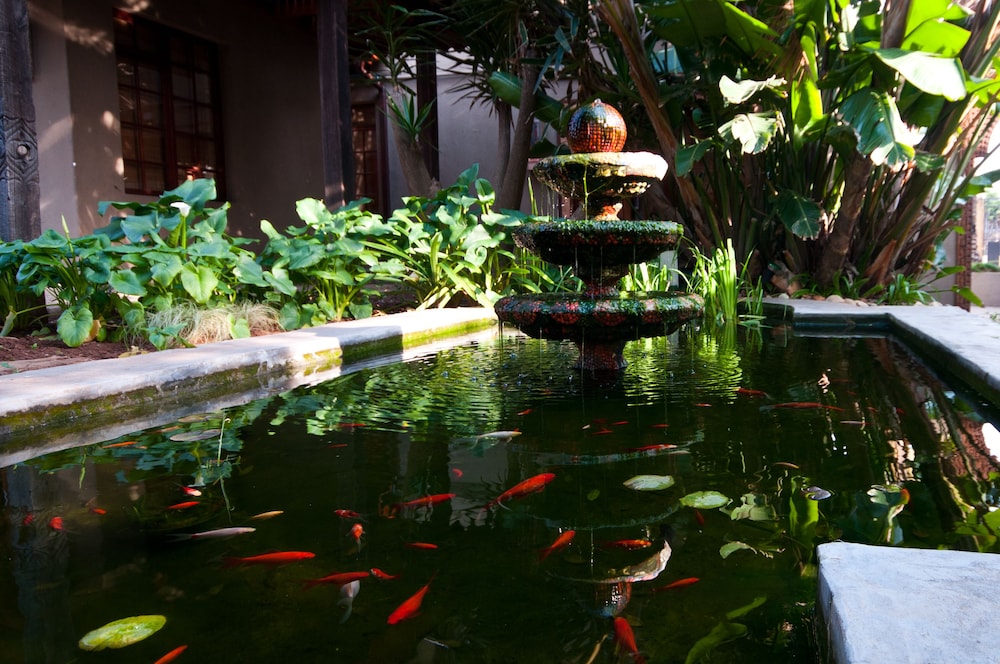 Singa Town Lodge 44/58