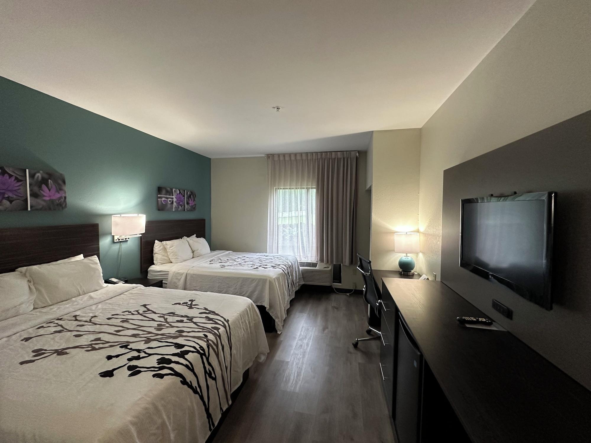 Efficiency, Business, Suite, Multiple Beds, Accessible