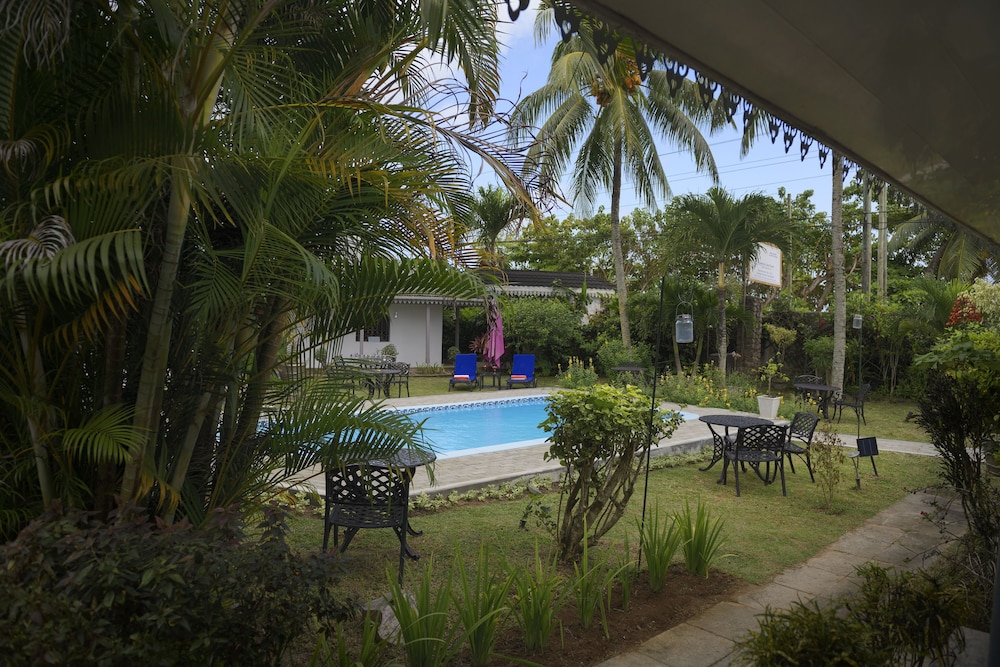 Auberge Chez Plume 38/50
