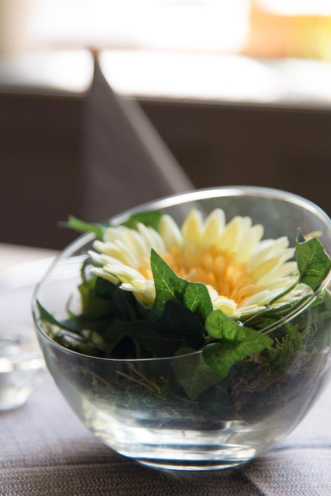 Hotel Restaurant Piazza 23/50