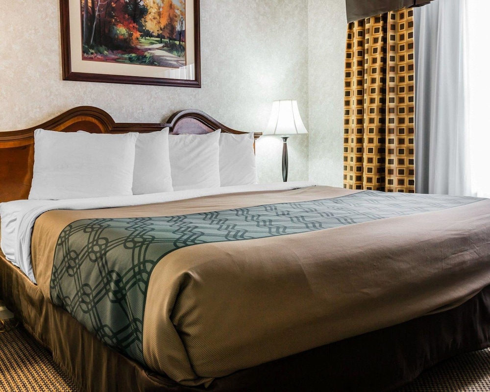 Econo Lodge & Suites Grand Rapids Airport 14/32
