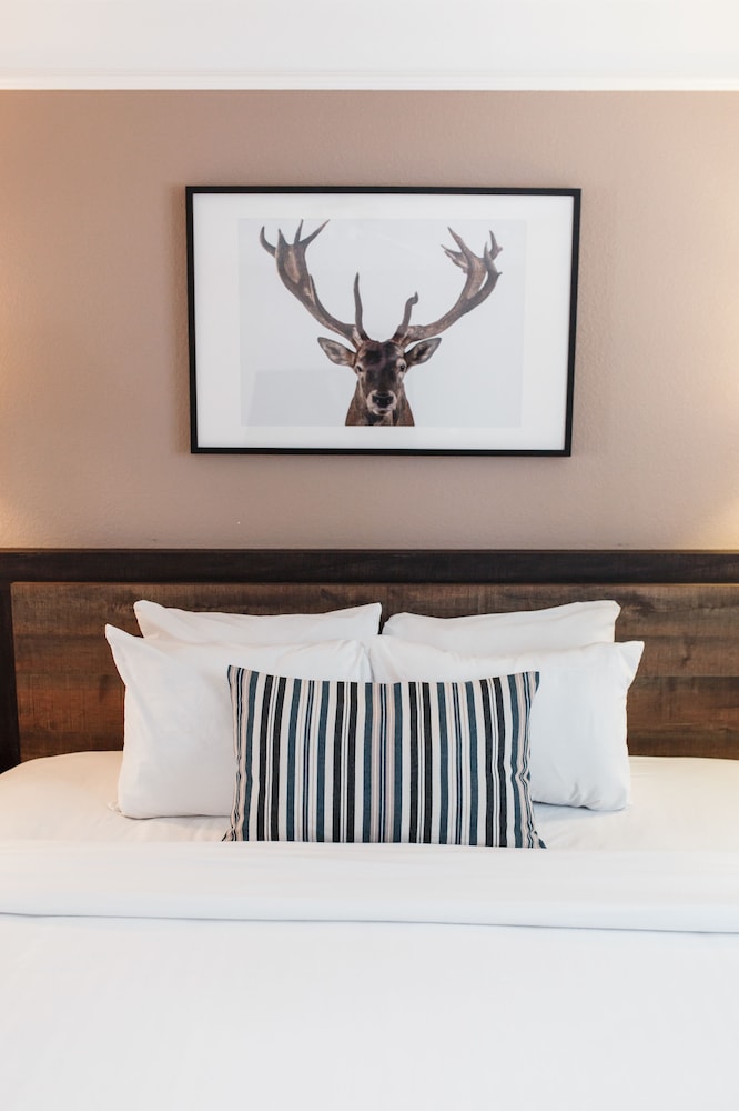 Inn at Mount Shasta 22/57