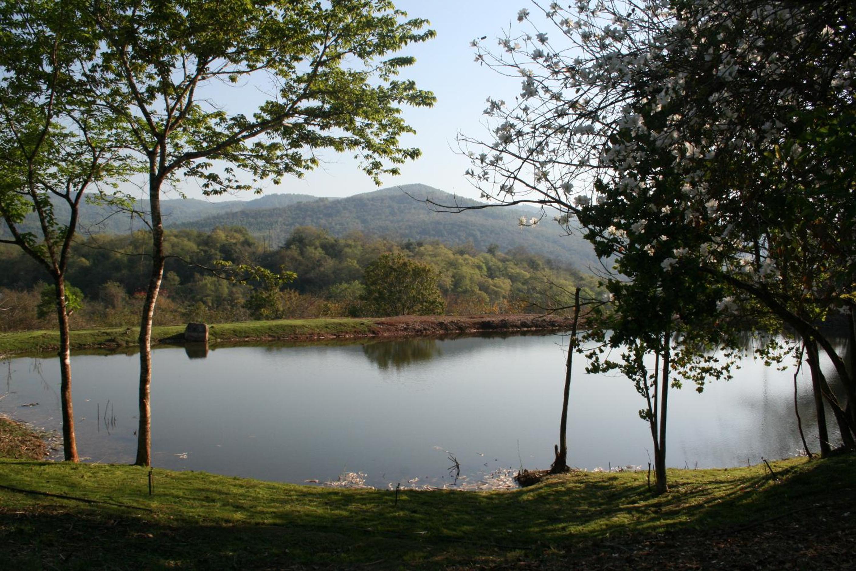 Mountain Creek Lodge 32/49