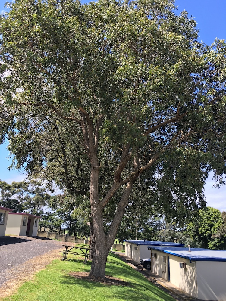 Limestone Coast Tourist Park 48/50