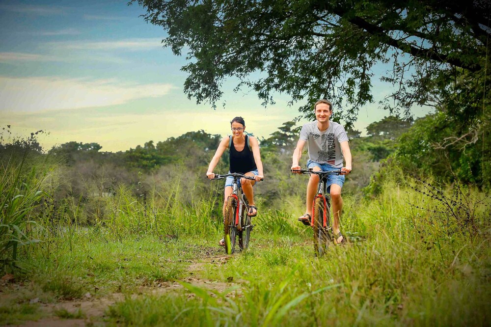 Elephas Resort & Spa 36/40