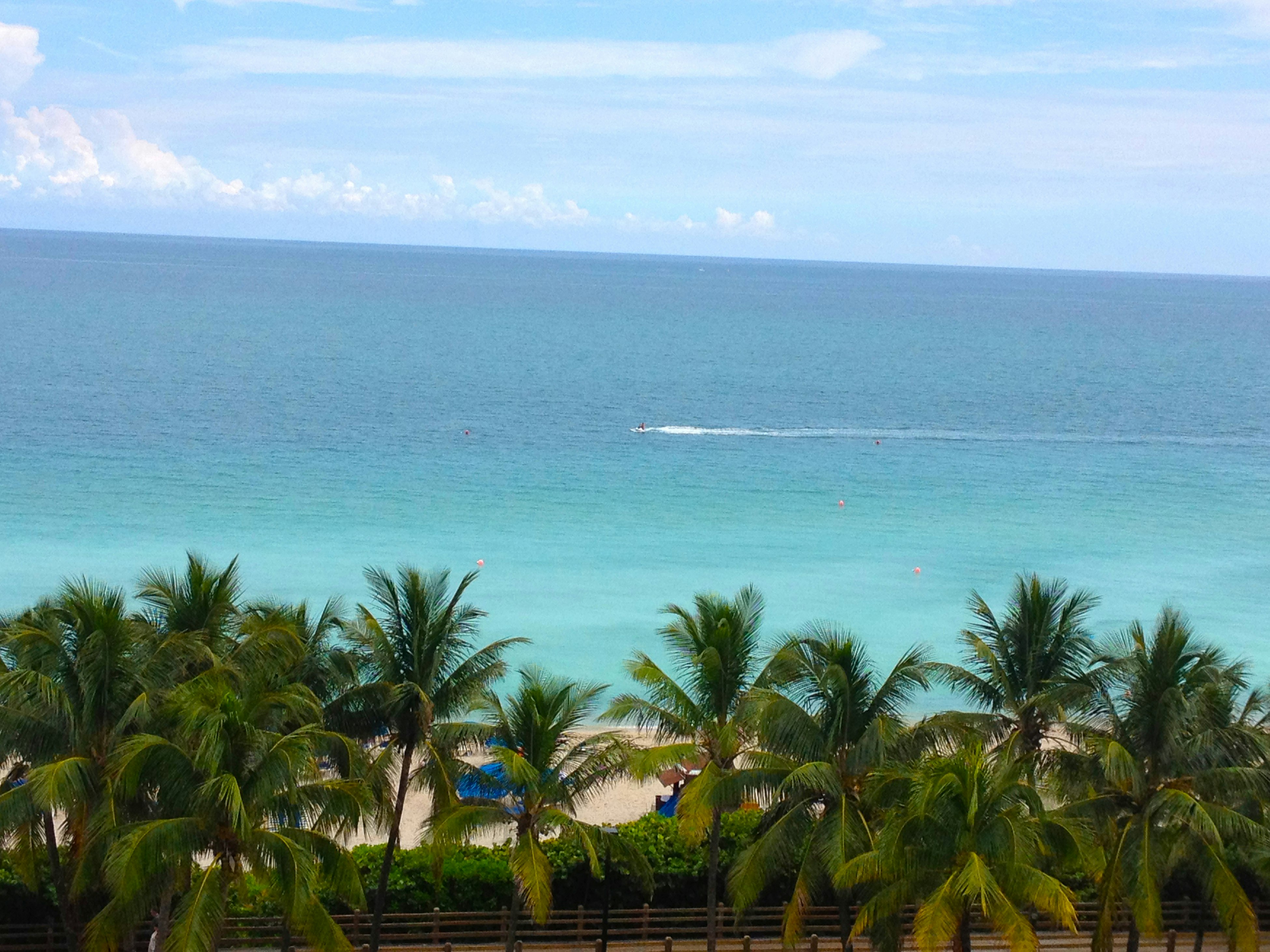 Holiday Inn Miami Beach Oceanfront Hotel 71/71